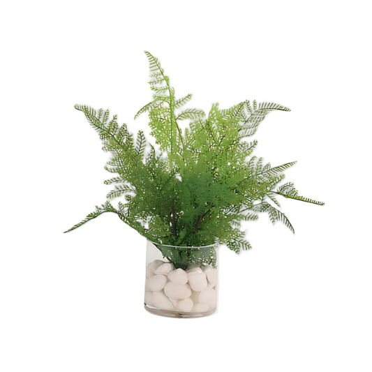 Assorted Ferns in Water