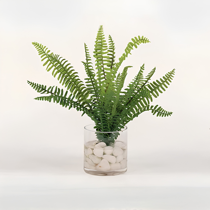 Assorted Ferns in Water
