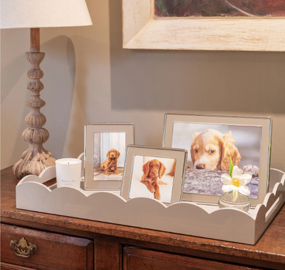 Chiffon Enamel & Silver Curve Frame