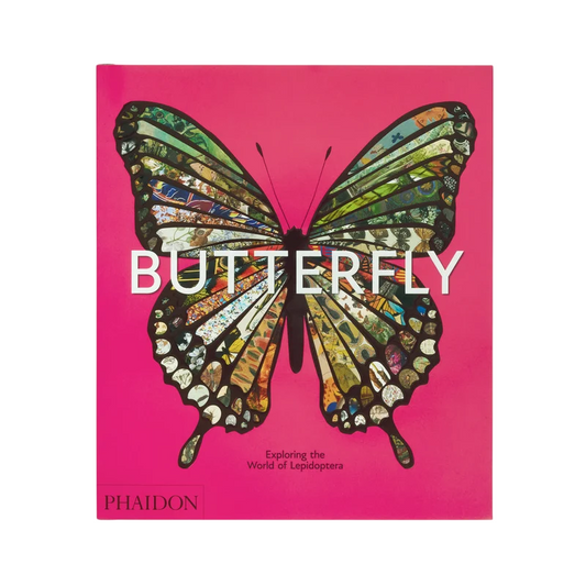 Butterfly: Exploring the World of Lepidoptera