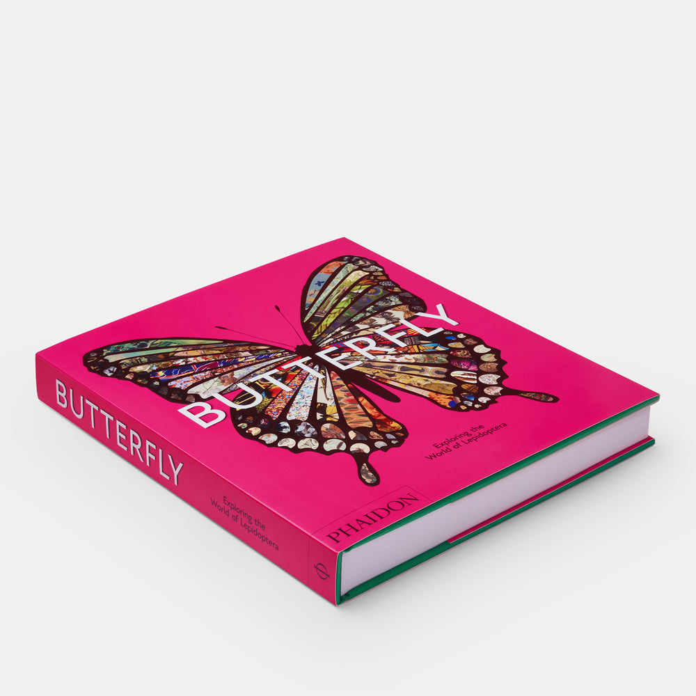 Butterfly: Exploring the World of Lepidoptera