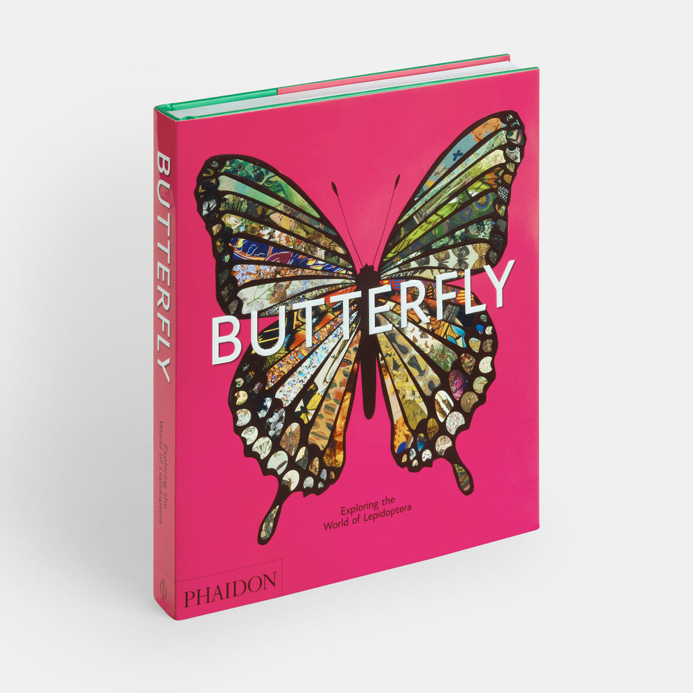 Butterfly: Exploring the World of Lepidoptera