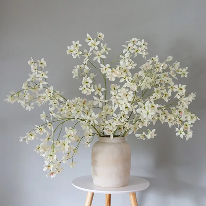 Dancing Oncidium Orchid